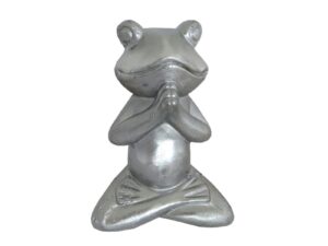 ΔΙΑΚΟΣΜΗΤΙΚΟΣ ΒΑΤΡΑΧΟΣ ΠΕΤΡΙΝΟΣ